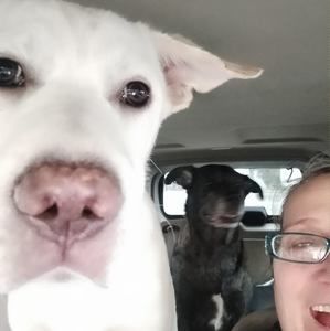 Meet your Posher, Sharon